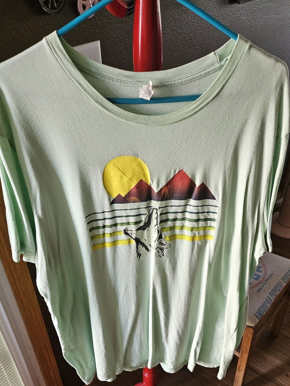 Mens XL Mint Green Graphic Tee with Sunset Mountain Design SS